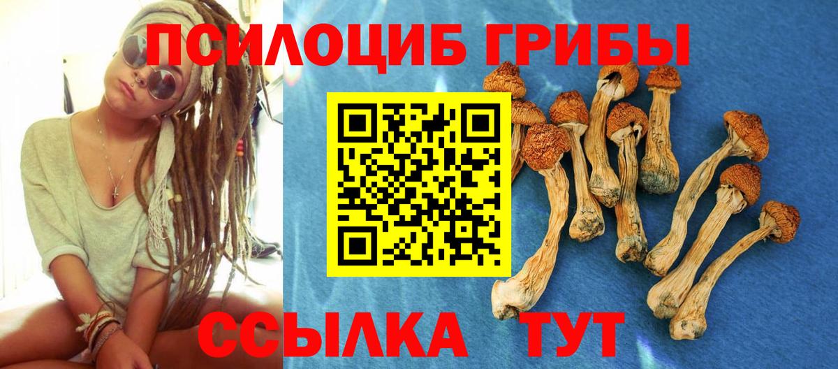 Псилоцибиновые грибы MAGIC MUSHROOMS  Вход с VPN  Лесосибирск 